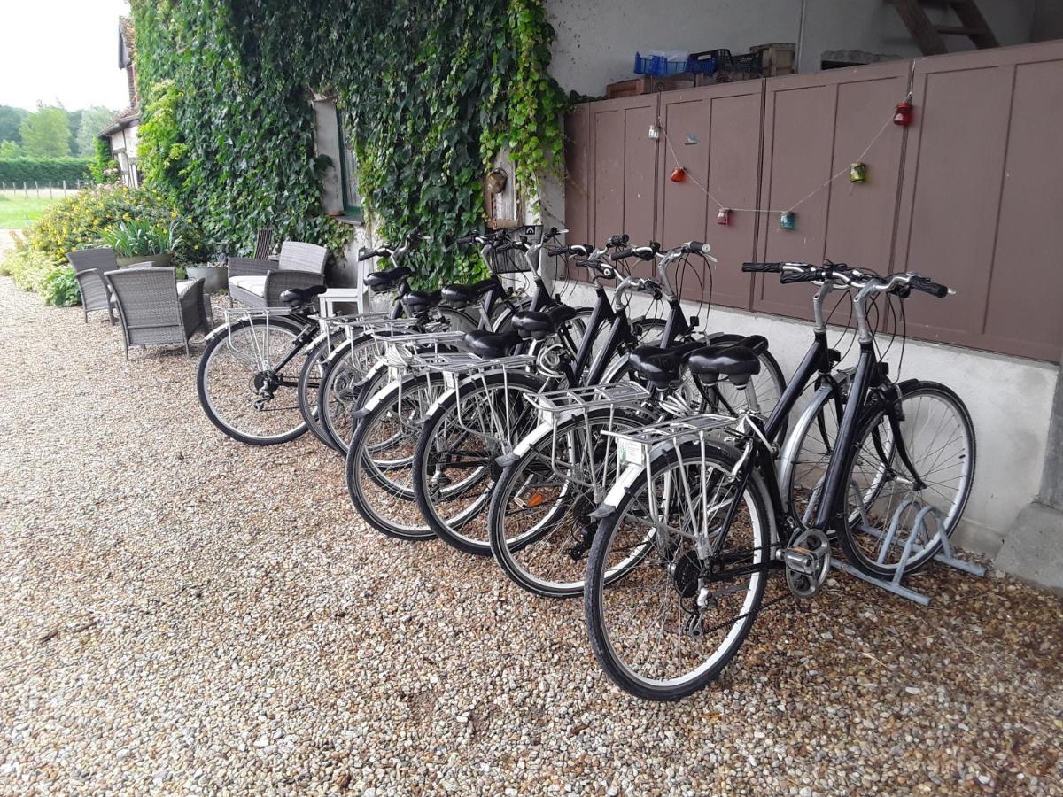 La Belviniere Chambres Et Table D'Hotes Tour-en-Sologne Eksteriør billede
