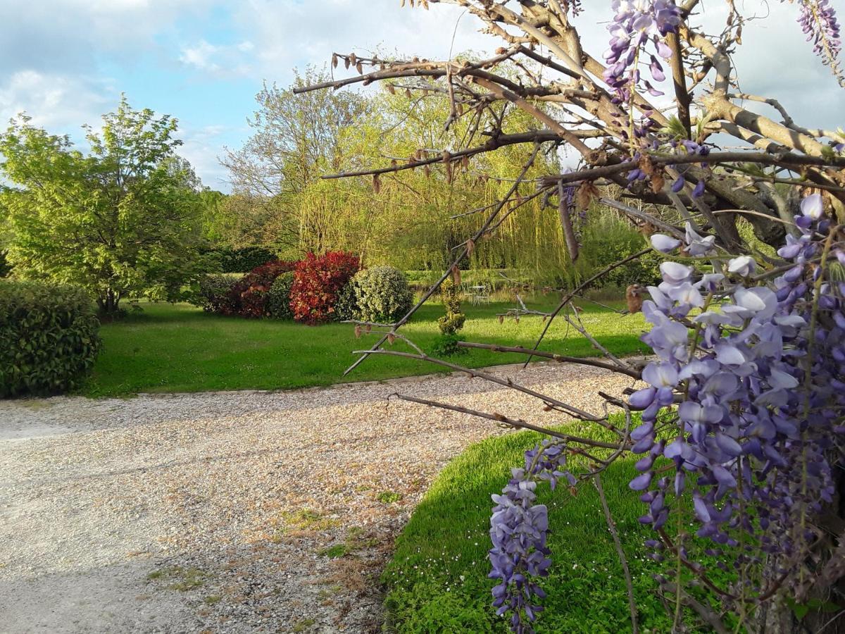 La Belviniere Chambres Et Table D'Hotes Tour-en-Sologne Eksteriør billede