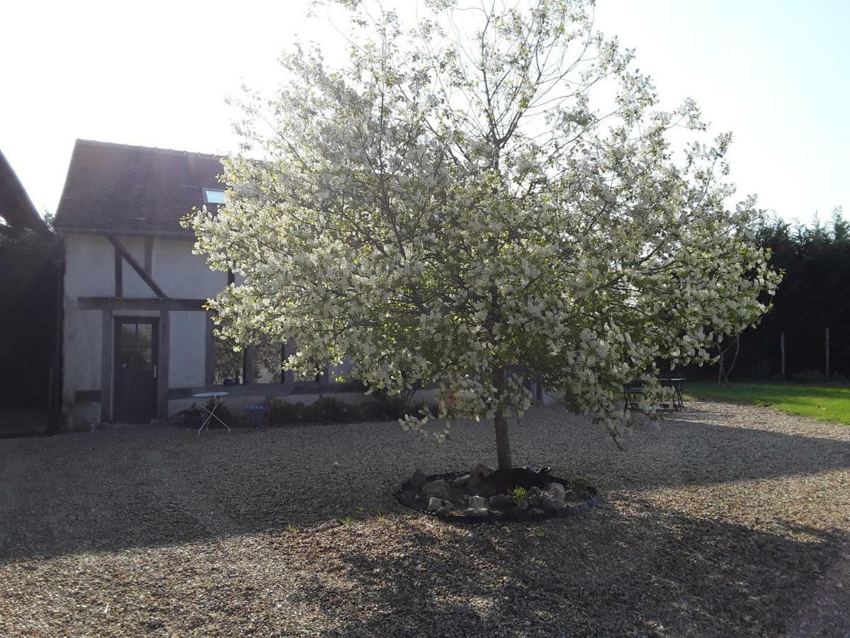 La Belviniere Chambres Et Table D'Hotes Tour-en-Sologne Eksteriør billede