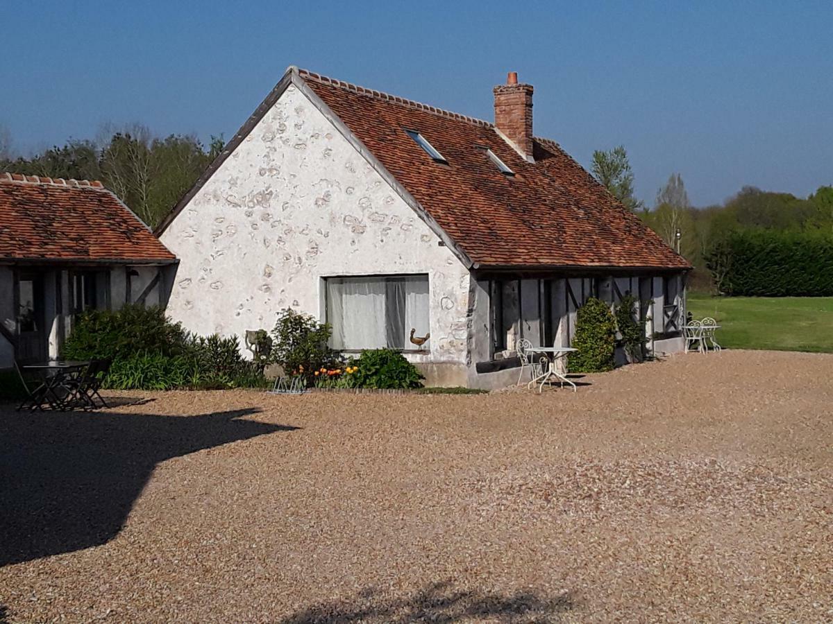 La Belviniere Chambres Et Table D'Hotes Tour-en-Sologne Eksteriør billede